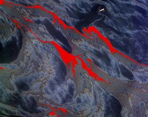 MODIS: chlorophyll image